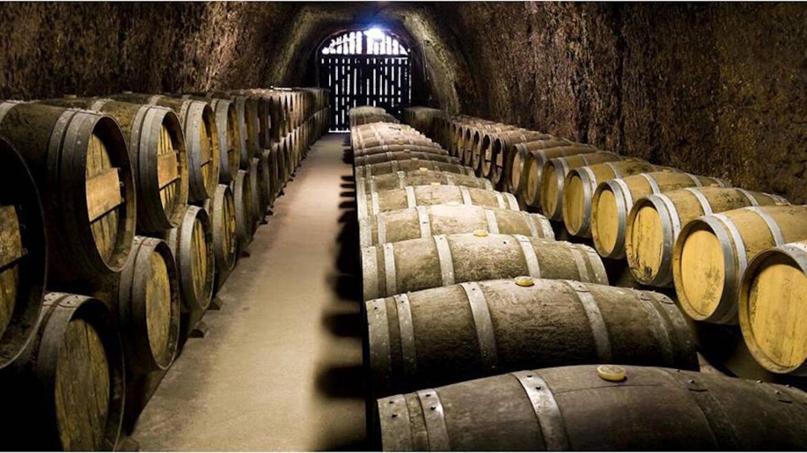 degustazione tradizione