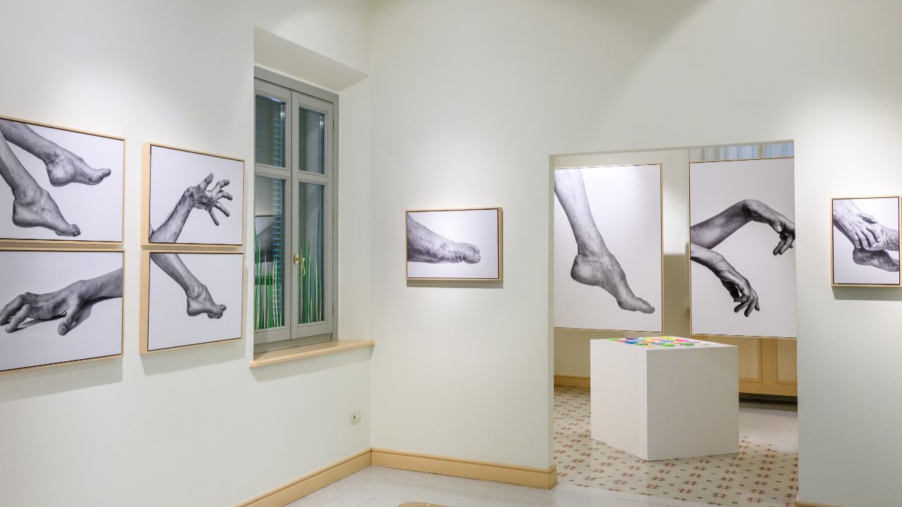 riccione cultura8