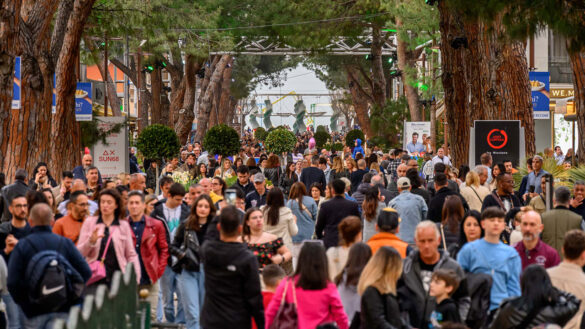viale ceccarini